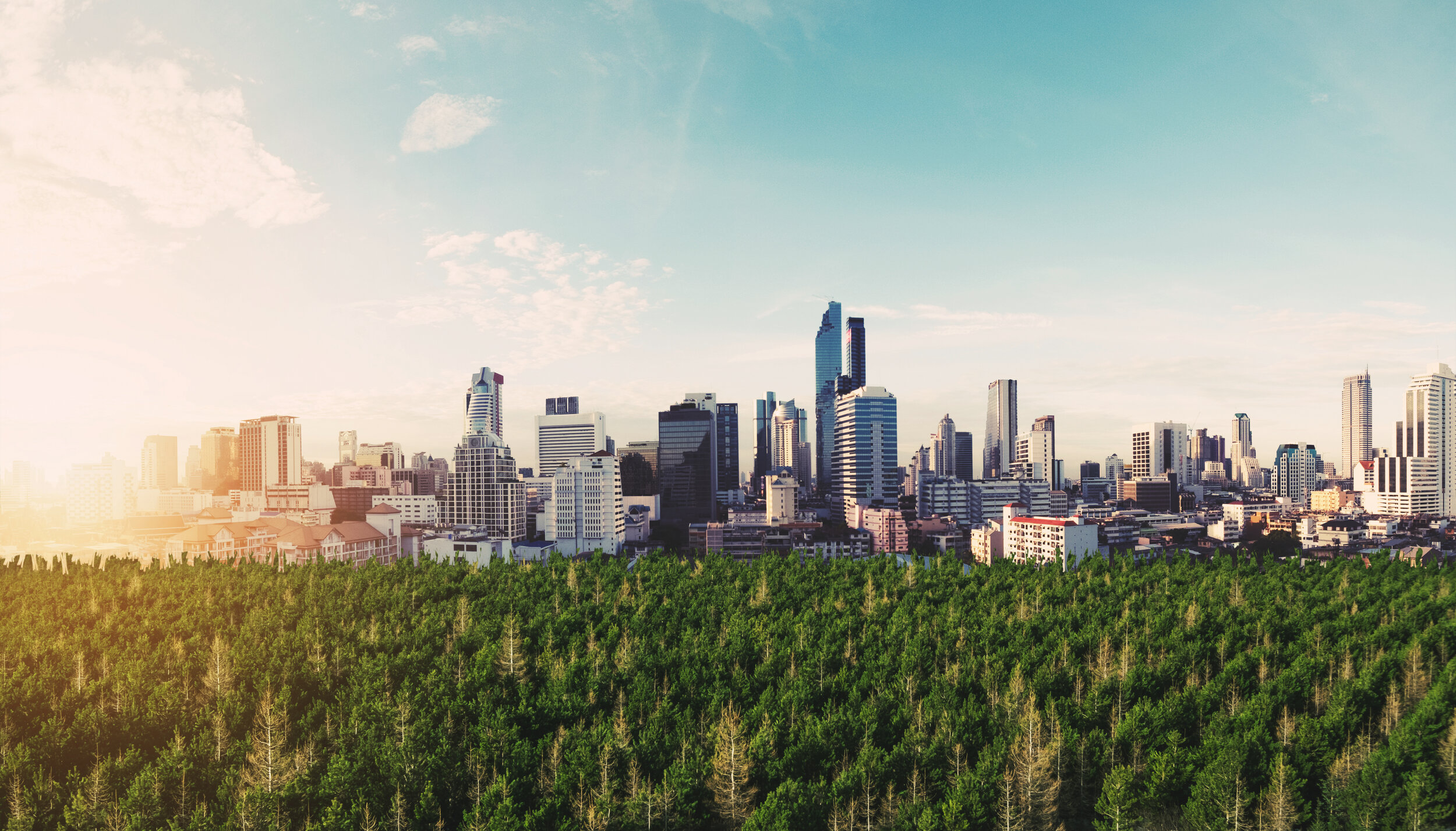 Panoramic modern city in sunrise with green forest